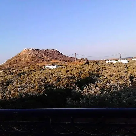 Diktynna *