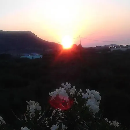 Diktynna * Palekastro