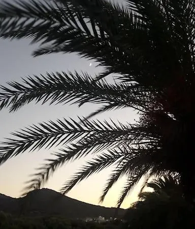 Diktynna * Palekastro