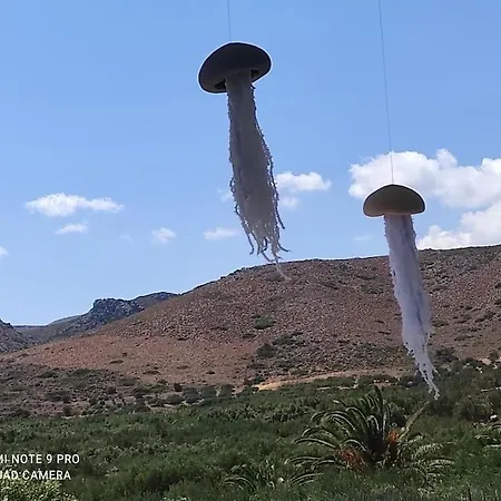 Diktynna